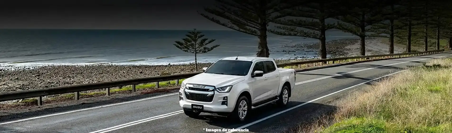 Motor diésel 3.0 L Turbo